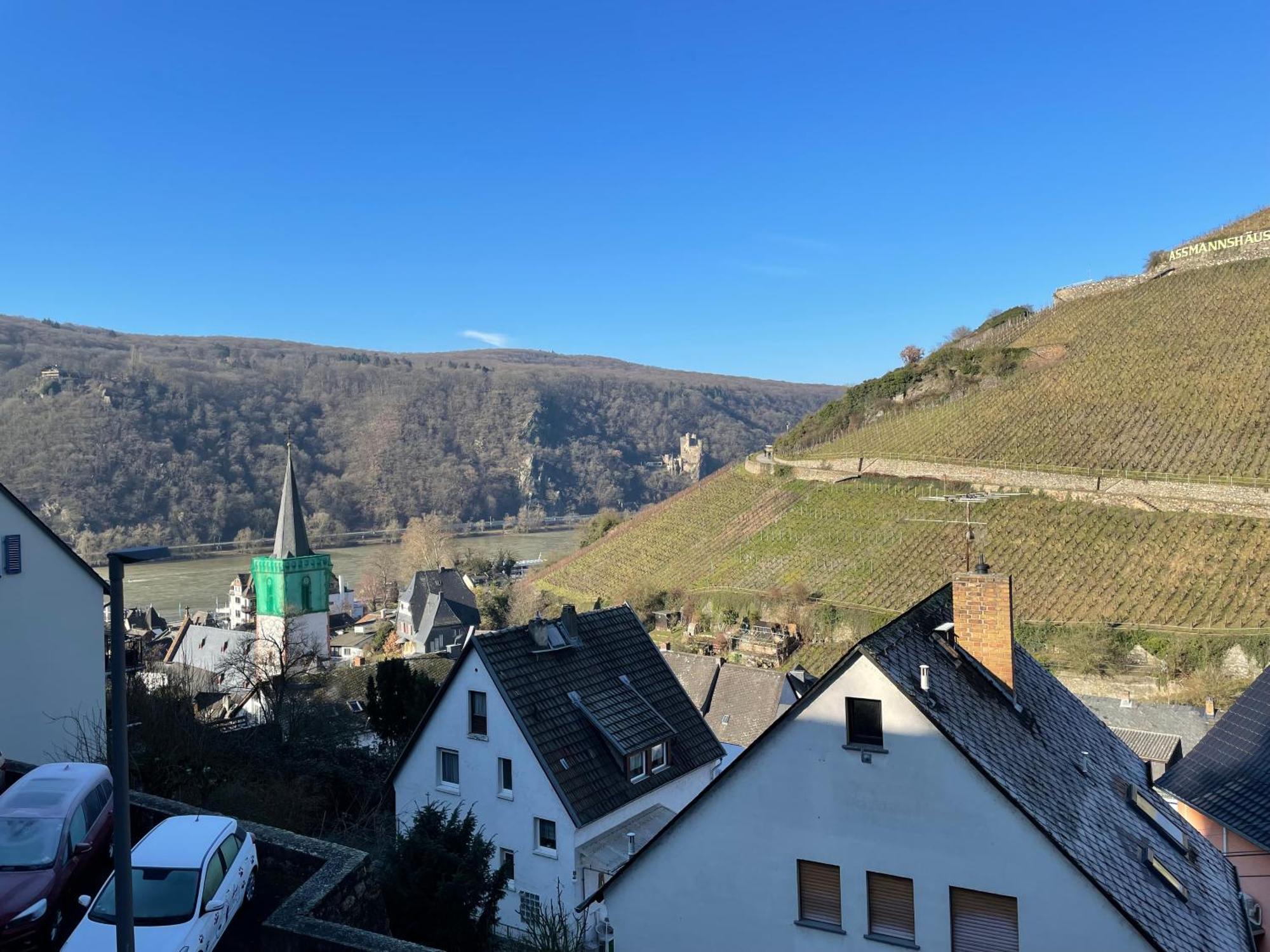 Haus Am Weinberg Rüdesheim am Rhein Exterior foto